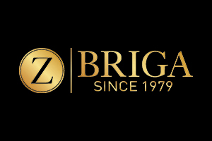logo-briga